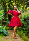 Rose Skater Dress - Red and Black Print