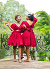 Rose Skater Dress - Red and Black Print