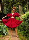 Rose Skater Dress - Red and Black Print