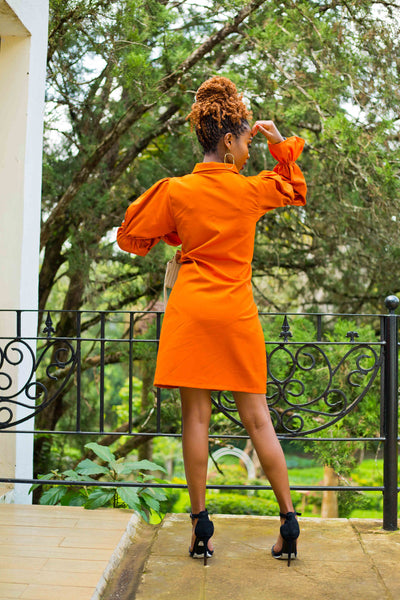 Lantana Shirt Dress
